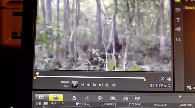 M.K. Davis Discusses The Mississippi Skunk Ape Video