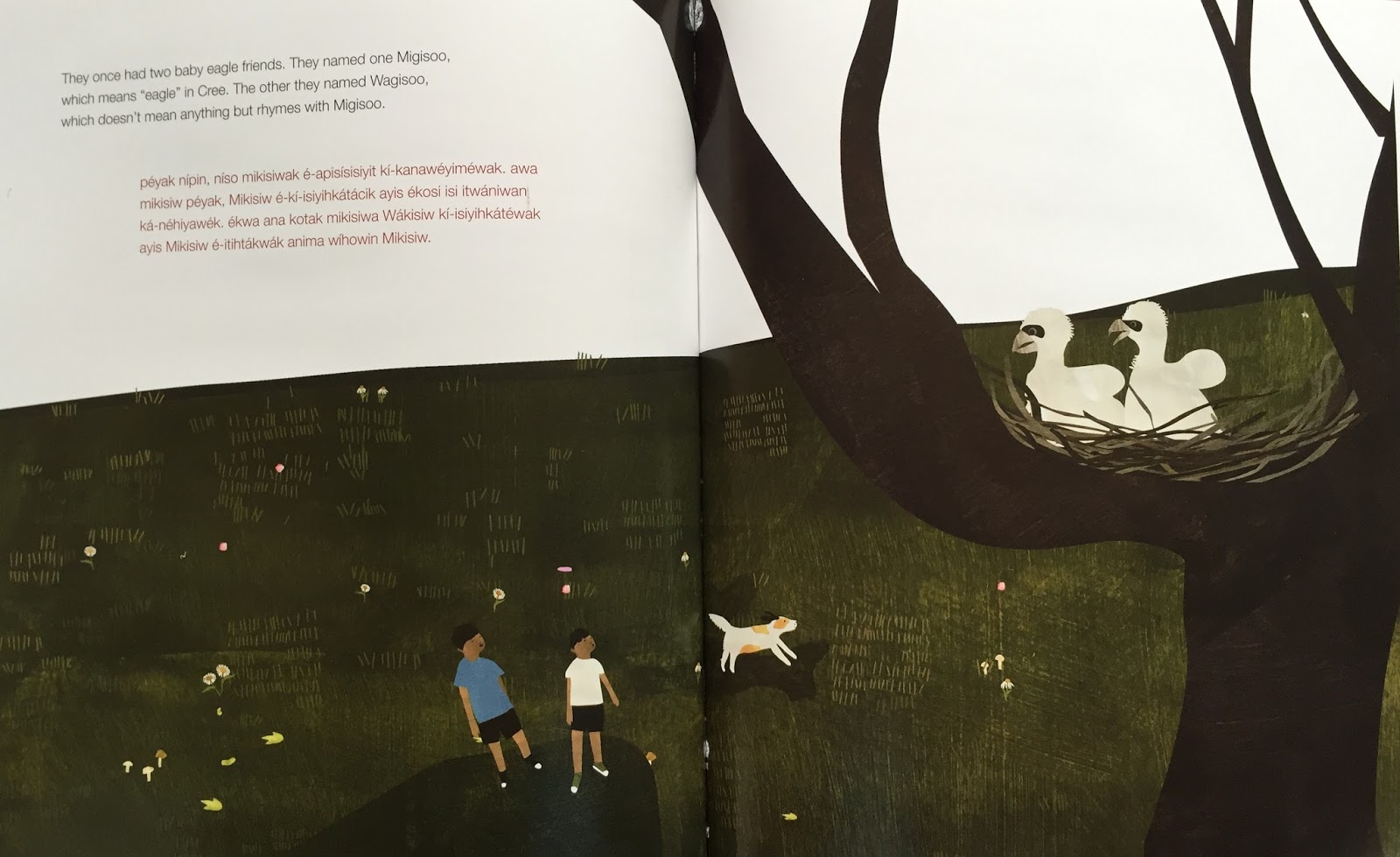 American Indians in Children's Literature (AICL) DRAGONFLY KITES