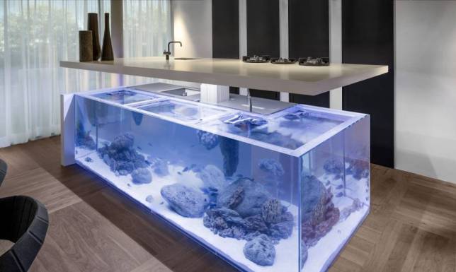 20 Best Aquarium Fish Ideas Integrate Interior House Designs