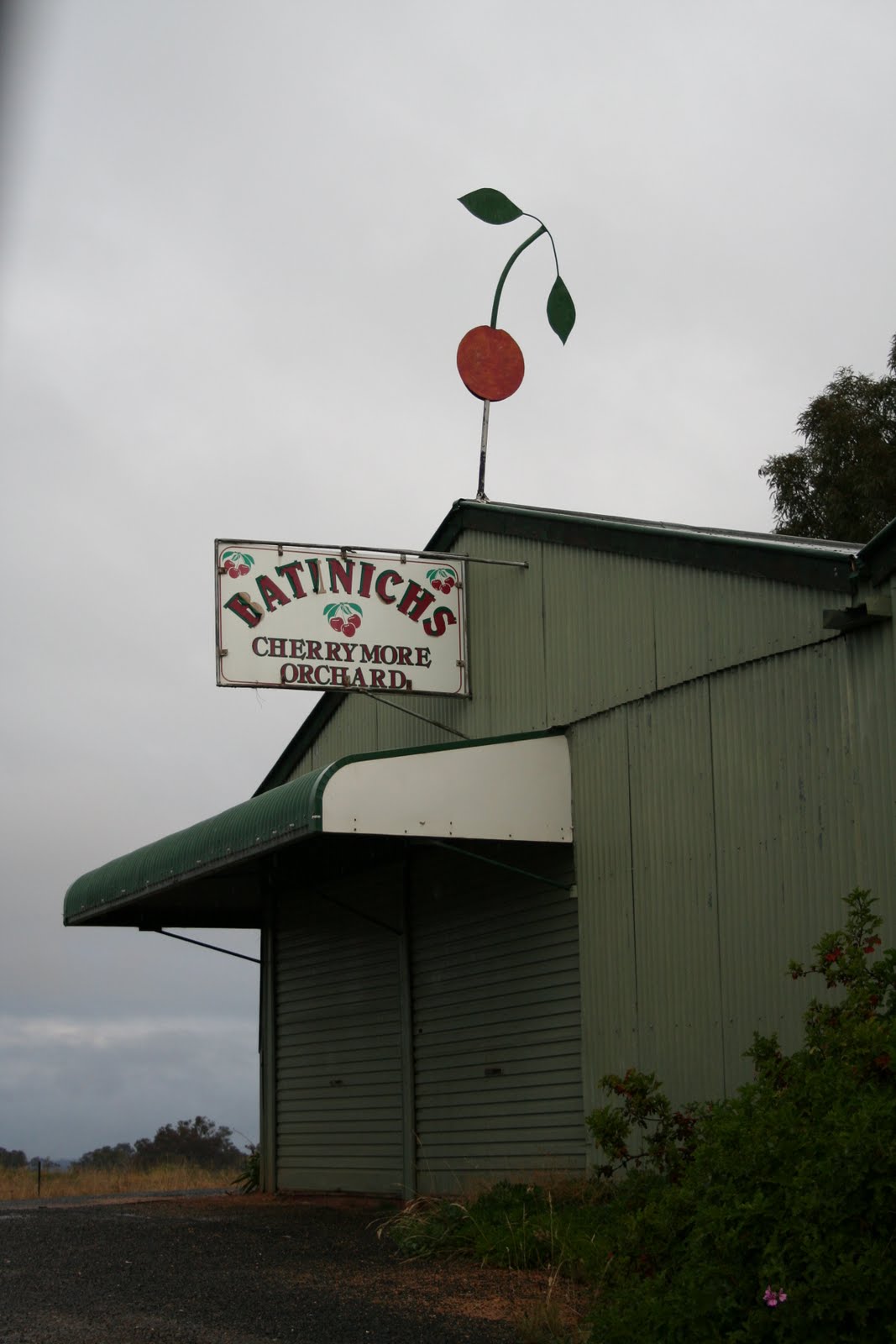 One Hungry Hen Destination YOUNG, NSW