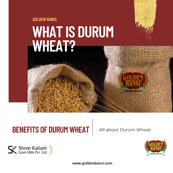 Know About Health Benefits of Durum Wheat Semolina