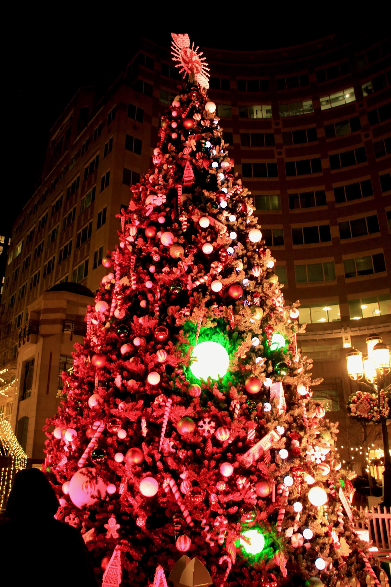 Life in the suburb! Lucia memories and the Christmas tree in Reston