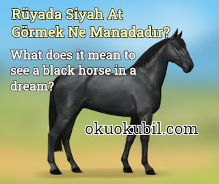 Rüyada Siyah At Görmek Ne Manadadır?