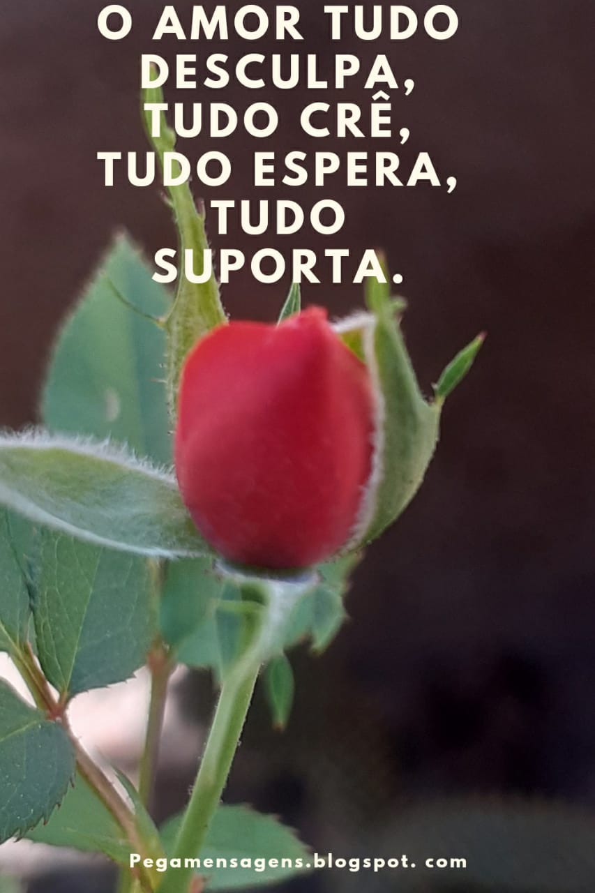 O Amor tudo desculpa, tudo Crê, Tudo espera, tudo suporta. O Amor tudo desculpa, tudo Crê, Tudo espera, tudo suporta.
