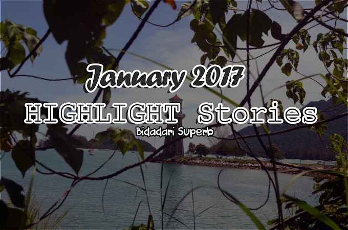 January 2017 HIGHLIGHT Stories