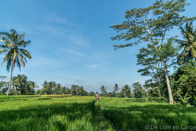 Ceking - Tegallalang - Ubud - Bali