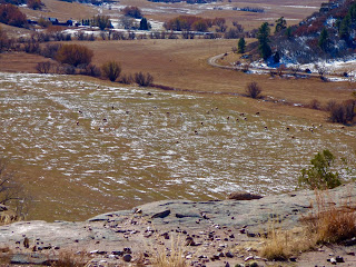 Otowi: Castlewood Canyon 11/14/15