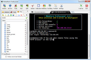 mobaxterm professional portable mobaxterm professional portable