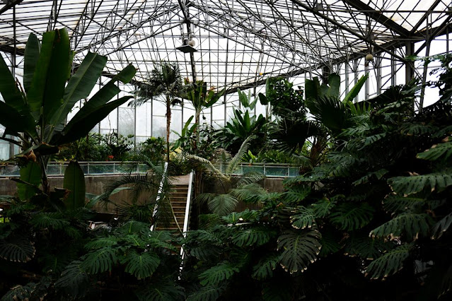 Jardin des Plantes de Lille - Serre équatoriqle de Lille - collection botanique