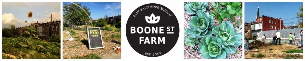 Boone Street Farm