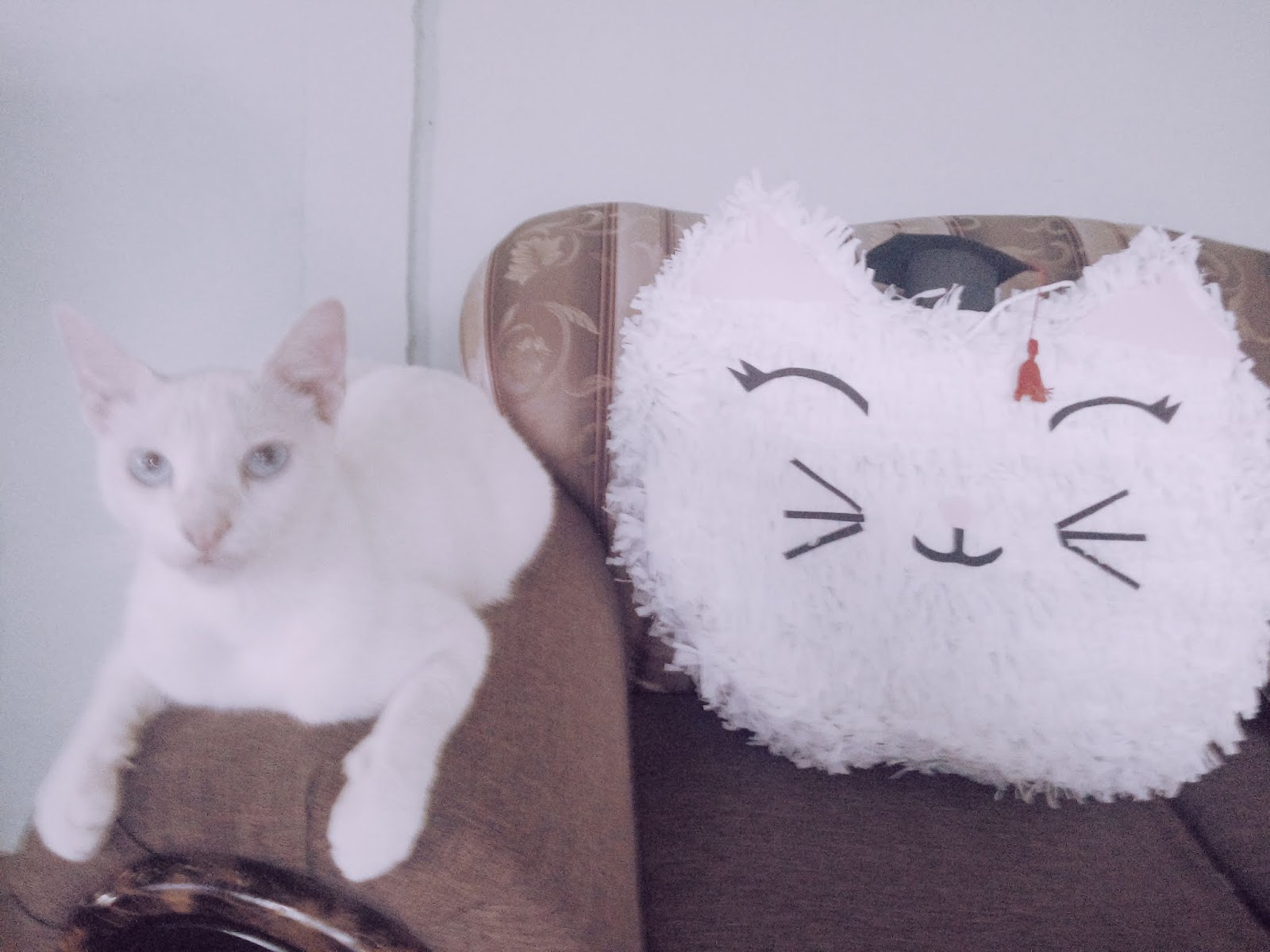 Diy Pinata De Gato Miss Meoow