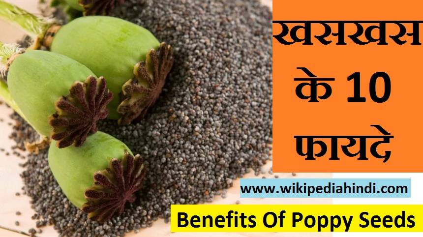 Benefits Of Poppy Seeds
