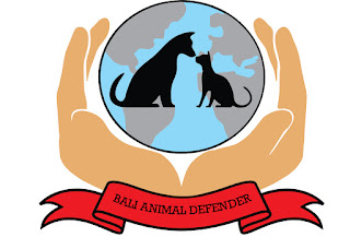 Bali Animal Defender