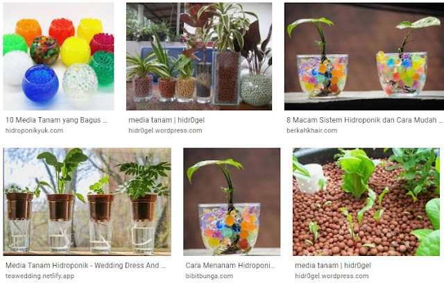 Cara Membuat Media Tanam Hydroton Sendiri - Cara Memulai Hidroponik