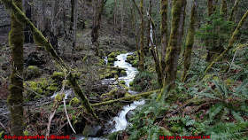 Oregon Dry Creek Falls Hike