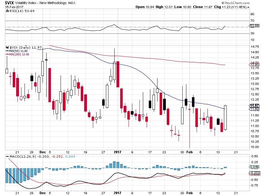 vix.PNG (850×633)