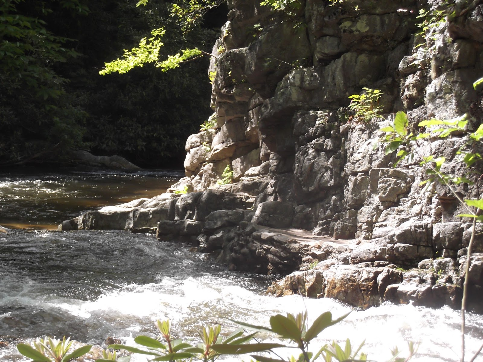 Appalachian Trail Section hiking Wilbur Dam Road to Dennis Cove Road