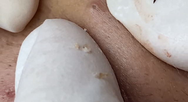 c2f16869ebb3a9282ef5678fb33fa7ea0bec271d