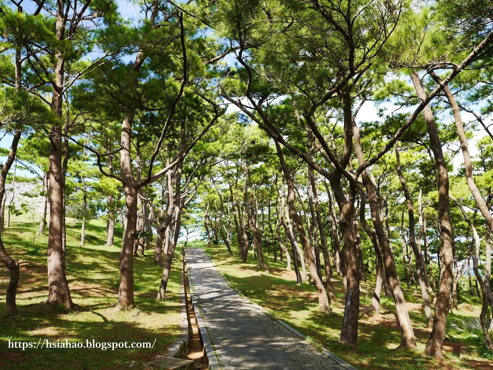 沖繩-推薦-景點-座喜味城跡-自由行-旅遊-Okinawa-Yomitan-Zakimi-Castle-Ruins