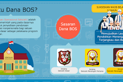 Tampilan Baru Website BOS Kemdikbud Beserta Perubahannya