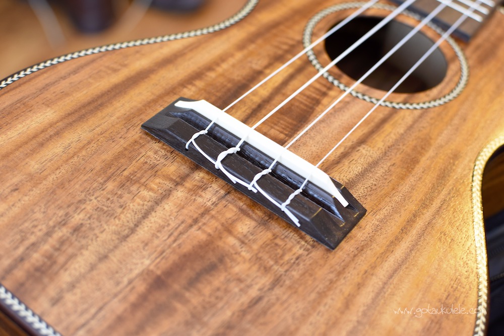 Amumu AMASACC Solid Acacia Concert Ukulele REVIEW