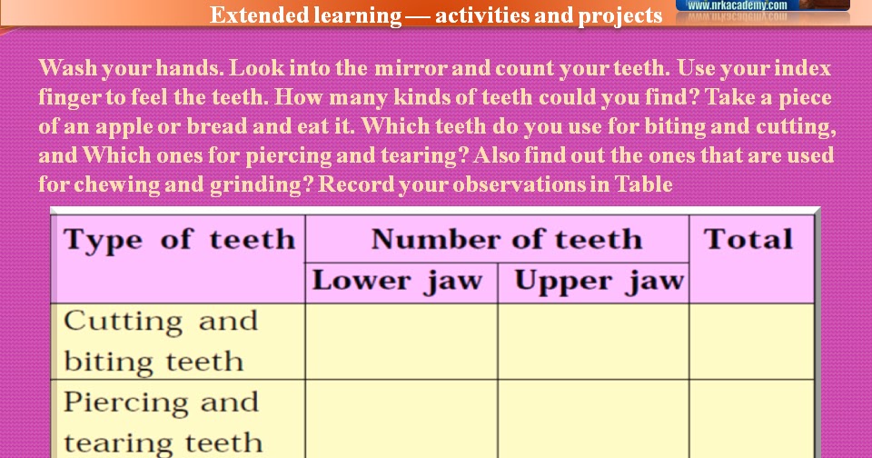 SONU ACADEMY: NUTRITION IN ANIMALS - ACTIVITY