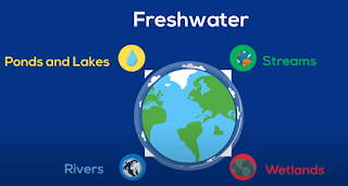 Types freshwater biomes