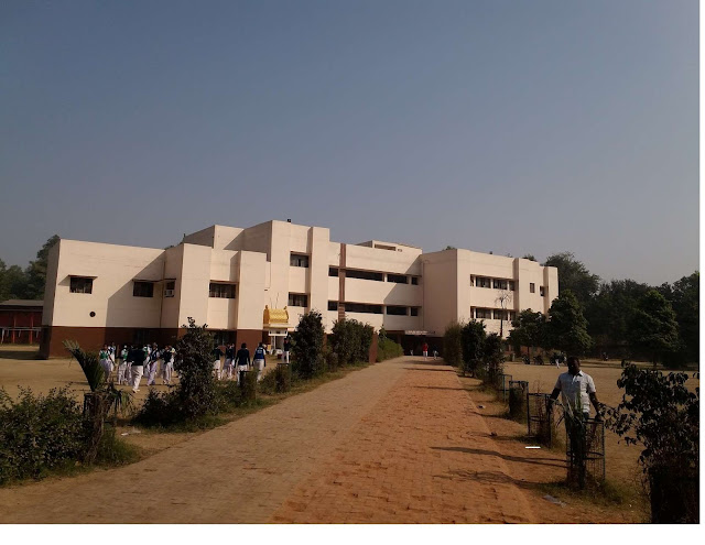 Dtea senior secondary School, Delhi