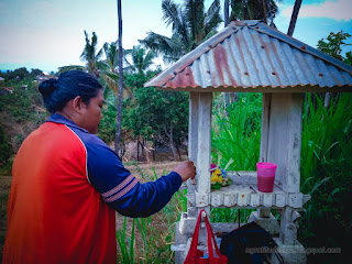 Woman Make Simple Offerings In Front Of Traditinonal Balinese Shrine In Agricultural Area At The Village North Bali Indonesia