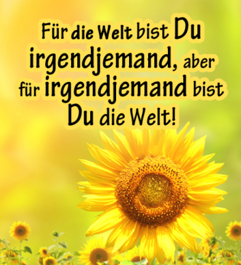 Zitate Und Spruche 2015