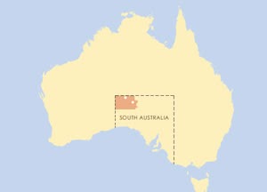 Vanguard: APY communities say 
