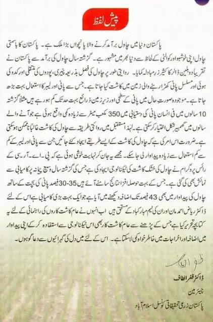 Chawal Ki Kasht In Urdu