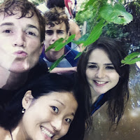 elenco%2Bjungle%2Bnest