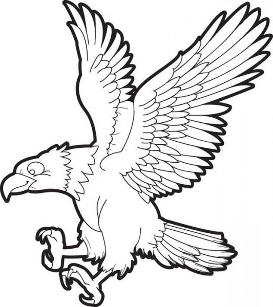 Gambar burung elang sketsa mudah Gambar burung elang sketsa mudah