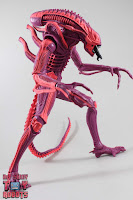 NECA Xenomorph Warrior Arcade Appearance 13