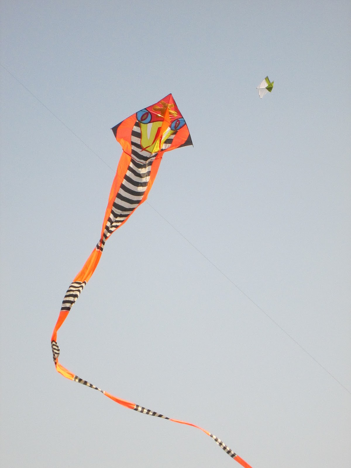 How to Choose Best Kite to Fly By Professional Kite Club India