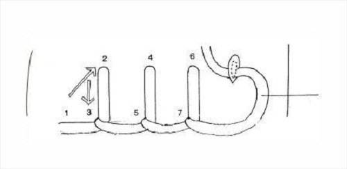 8 Macam Teknik Tusuk Jahit Disertai Contoh Gambar Seni Budayaku