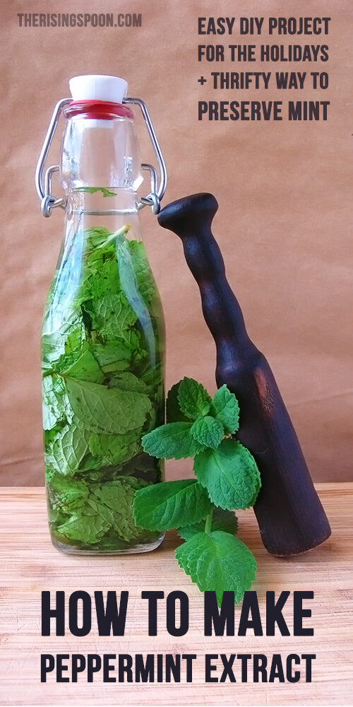 Learn how to make a mint extract with fresh peppermint and your favorite clear liquor. Homemade extracts are perfect for holiday gifts and cost less than store-bought extracts!