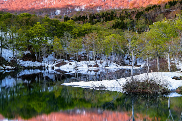 #photo #landscape #sigma #foveon #sdquattroh #japan #yamagata #nishikawa #山形県 #西川町 #山形帝國 #写真 #風景写真