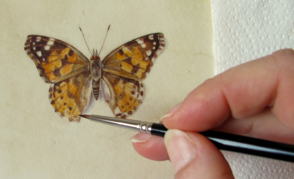 Botanical Sketches and Other Stories Saving the Art of Vellum