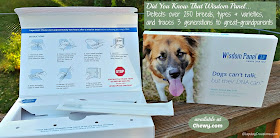 wisdom panel dna kit for dogs