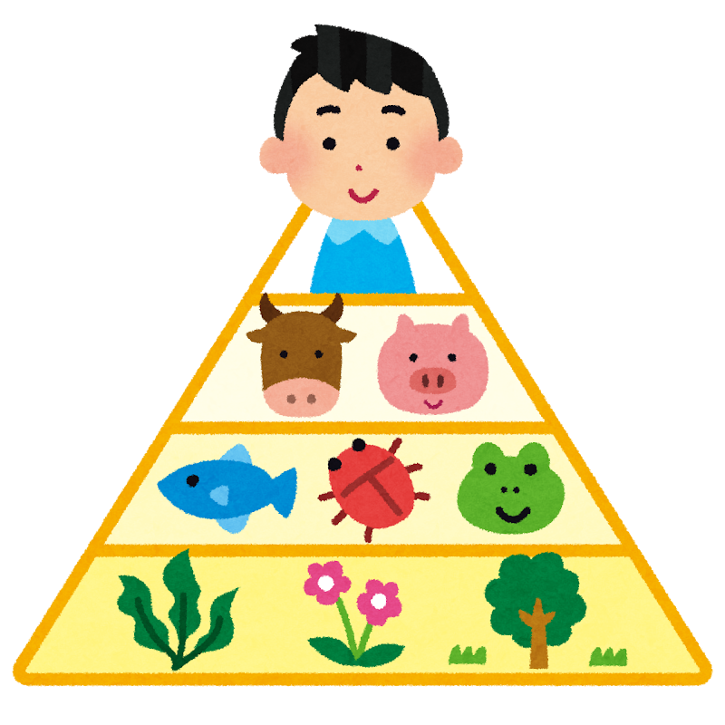 食物連鎖のピラミッドのイラスト かわいいフリー素材集 いらすとや