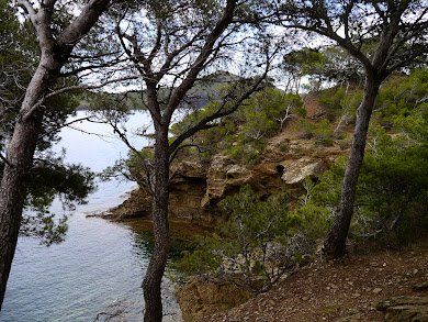 EXCURSIONS PELS VOLTANTS DE CALA MONTJOI