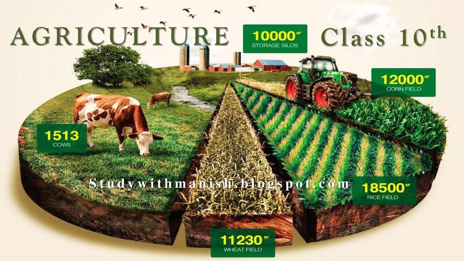 case study of agriculture class 10
