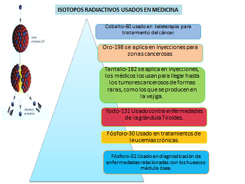 Biología Celular: exposicion de isotopos radiactivos