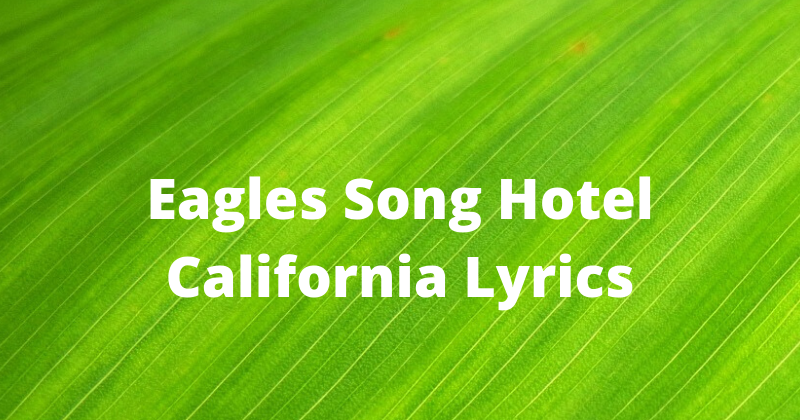 Eagles Song Hotel California Lyrics