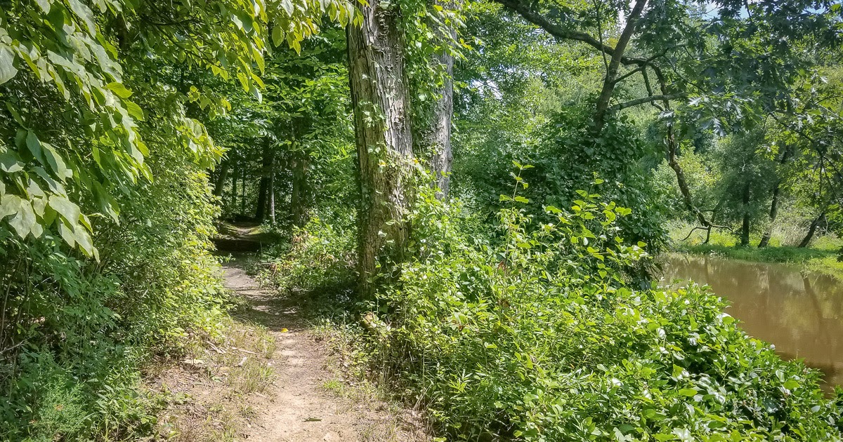 Woods of Wenonah Trail Pushing Myself