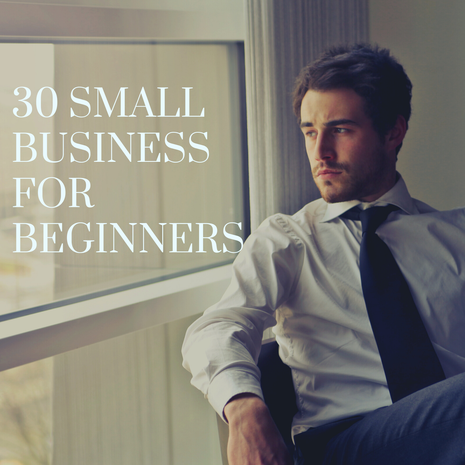 30 SMALL BUSINESS IDEAS FOR BEGINNERS