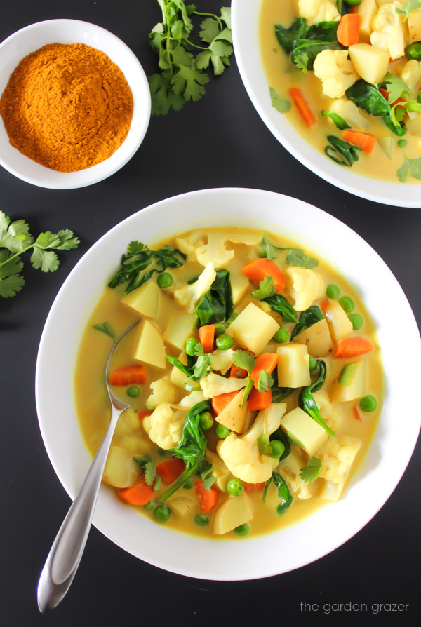 The Garden Grazer Vegetable Curry Soup (30 minute!)