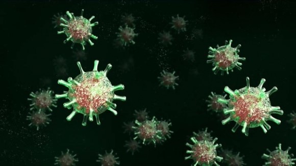 Virus SARs-CoV-2 có thể gây tổn thương tim và não